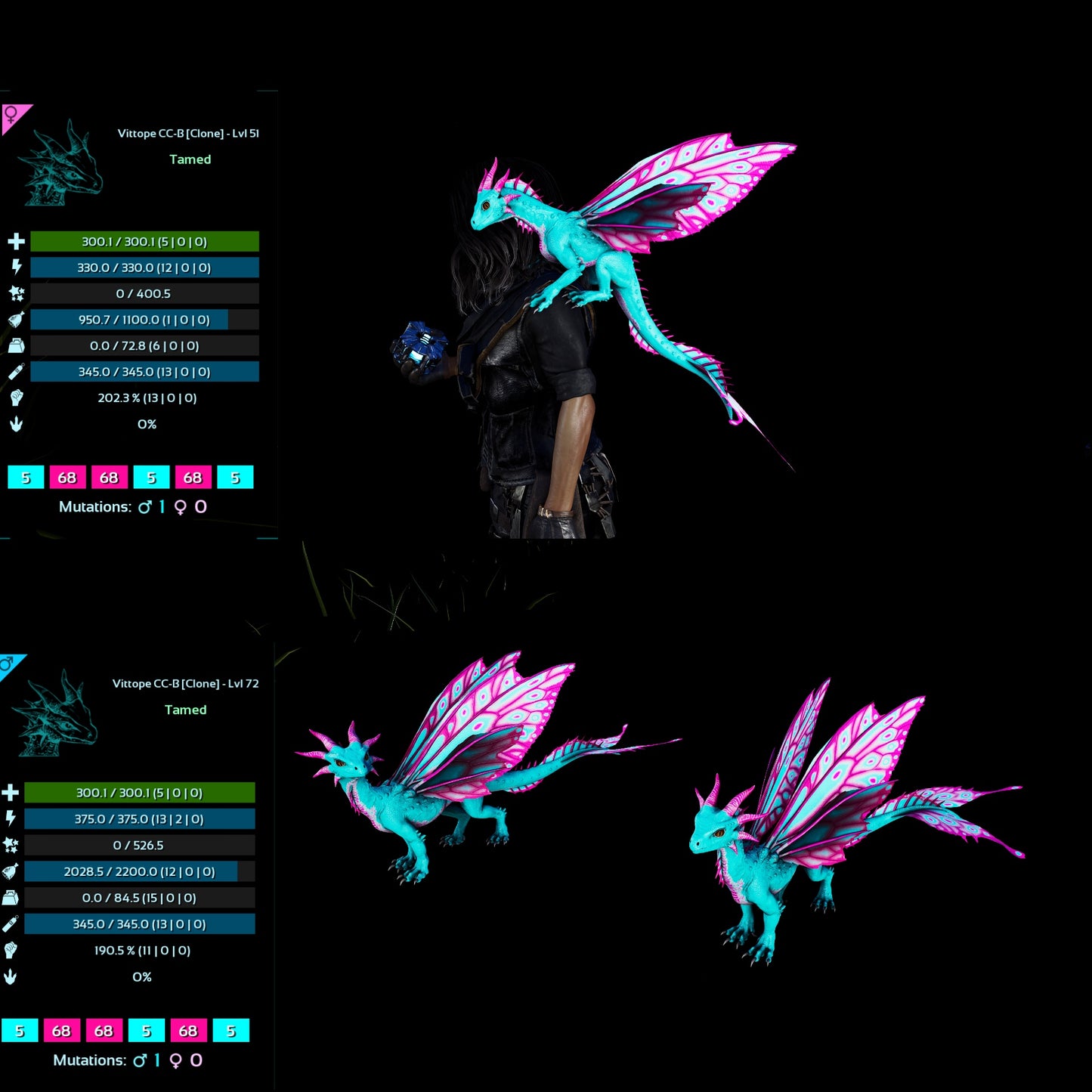 Drakeling High&Low Lvls