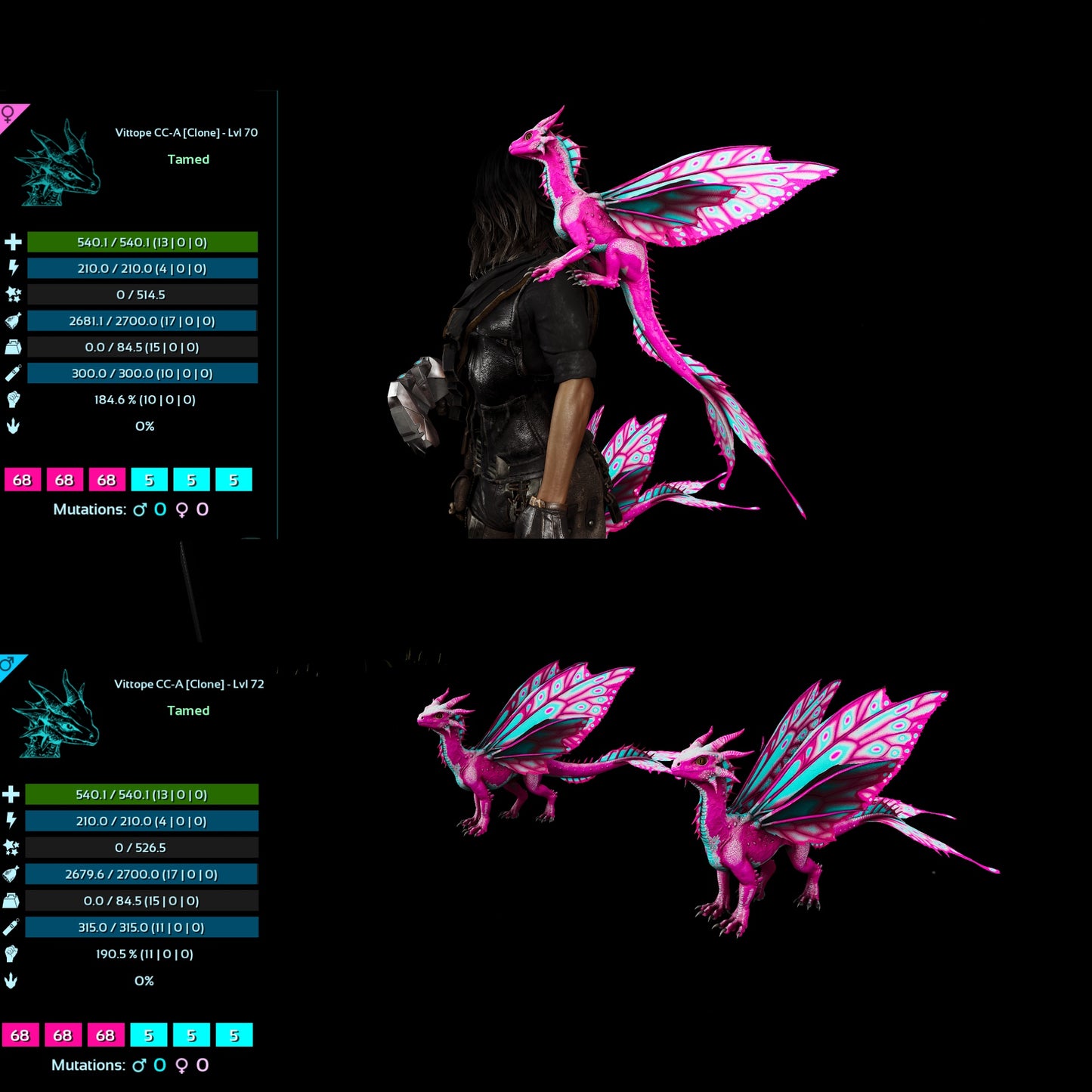 Drakeling High&Low Lvls