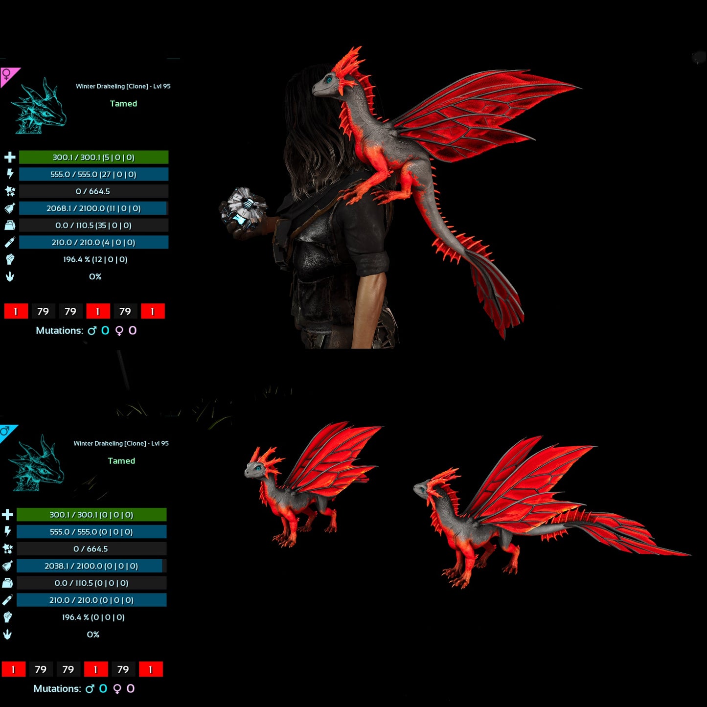 Drakeling High&Low Lvls