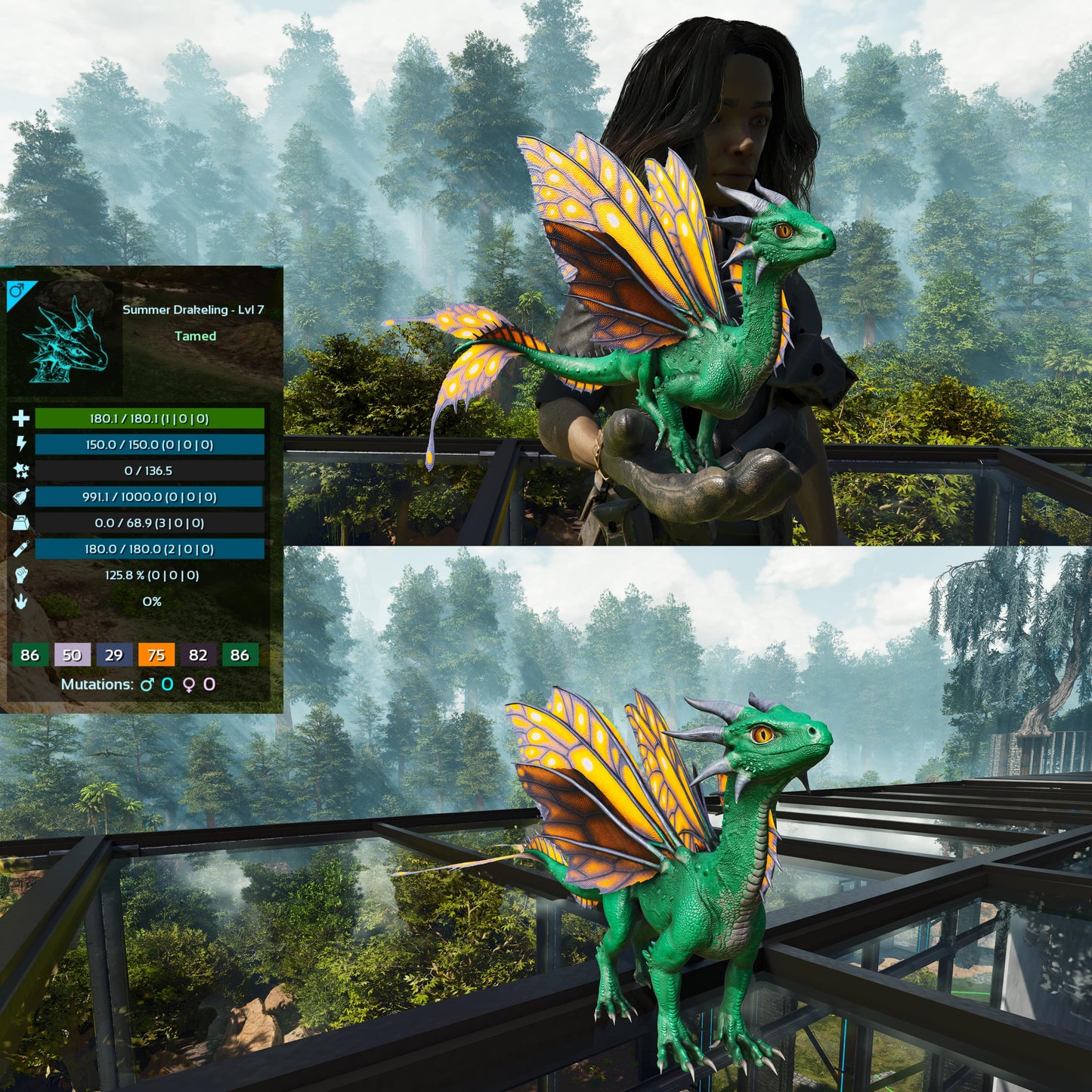 Drakeling High&Low Lvls
