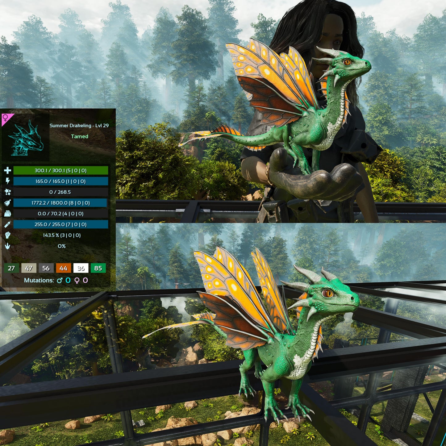 Drakeling High&Low Lvls