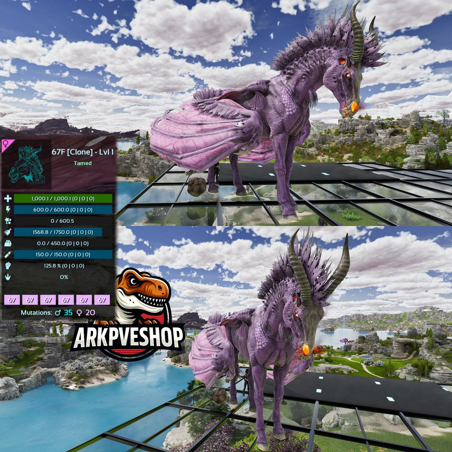 Dreadmare Level 1 Clone lvl 1