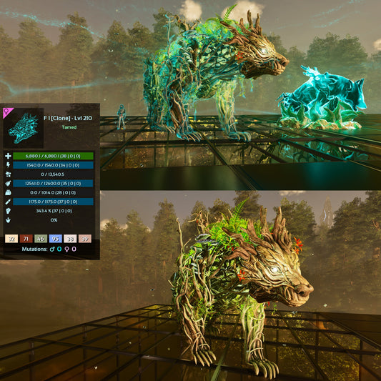 Elderclaw High & Low Lvls