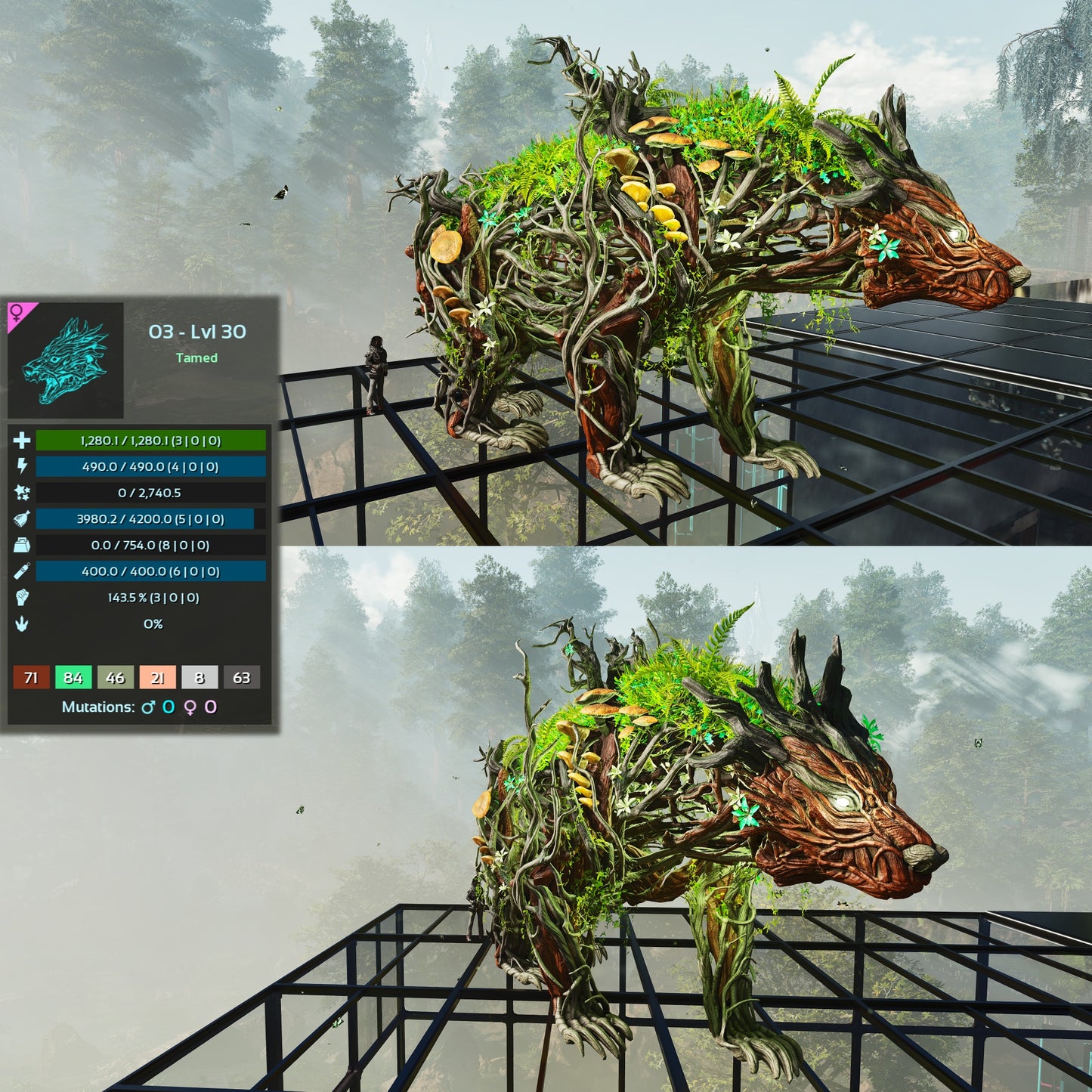 Elderclaw High & Low Lvls