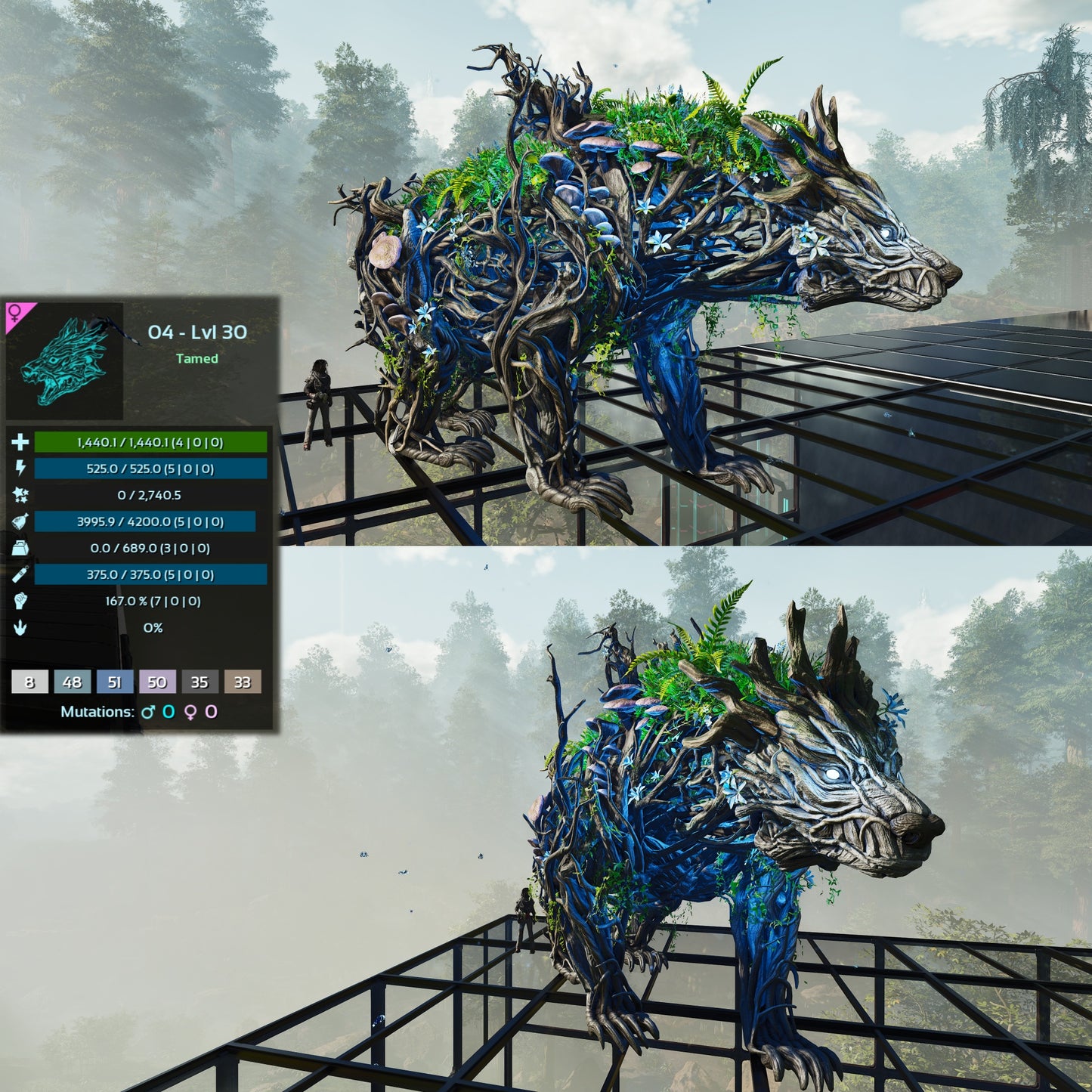Elderclaw High & Low Lvls