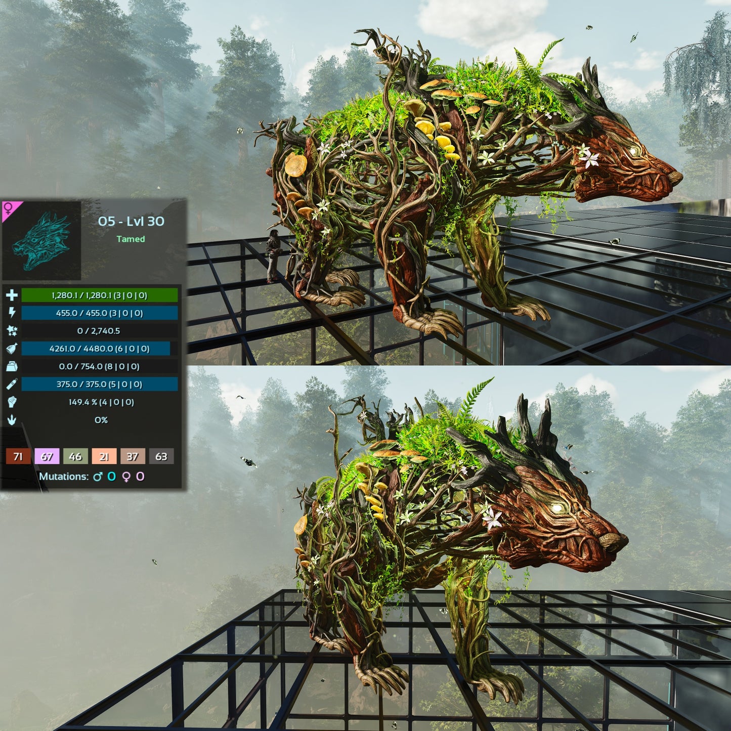 Elderclaw High & Low Lvls
