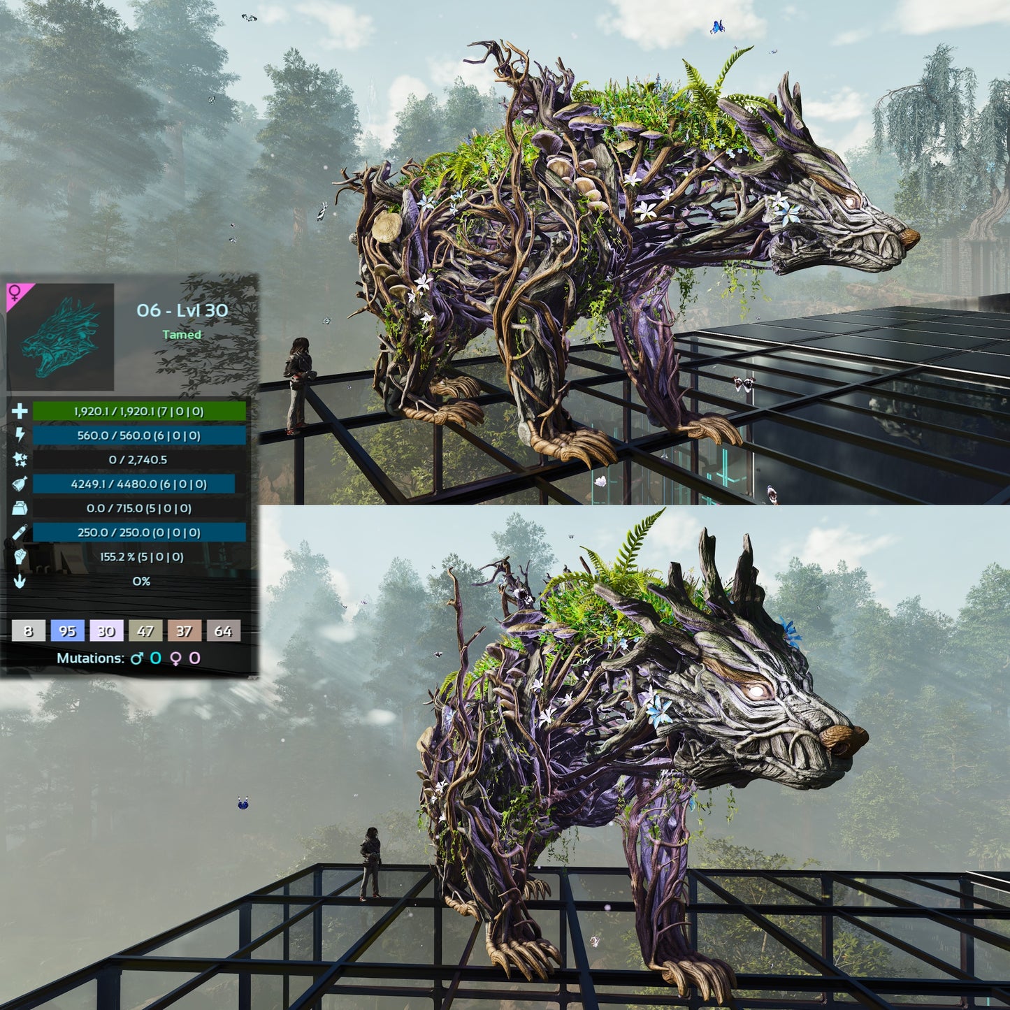 Elderclaw High & Low Lvls