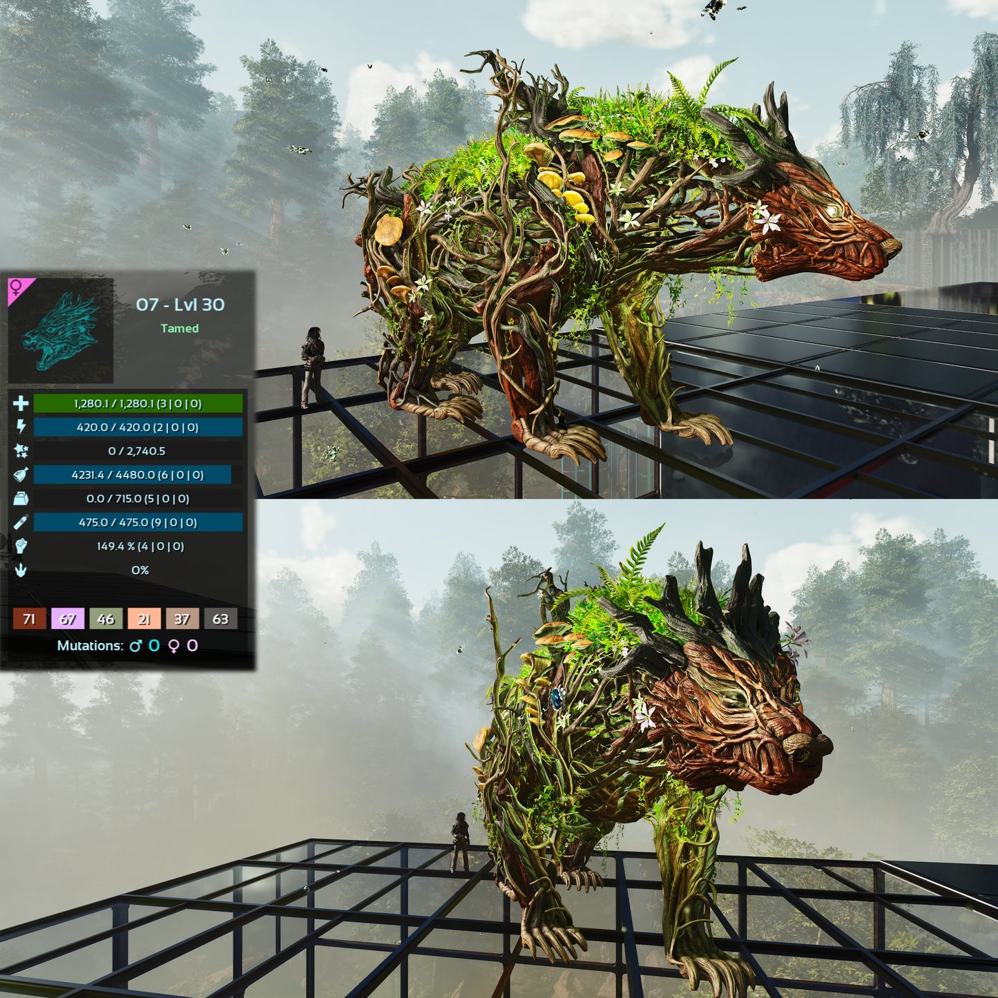 Elderclaw High & Low Lvls