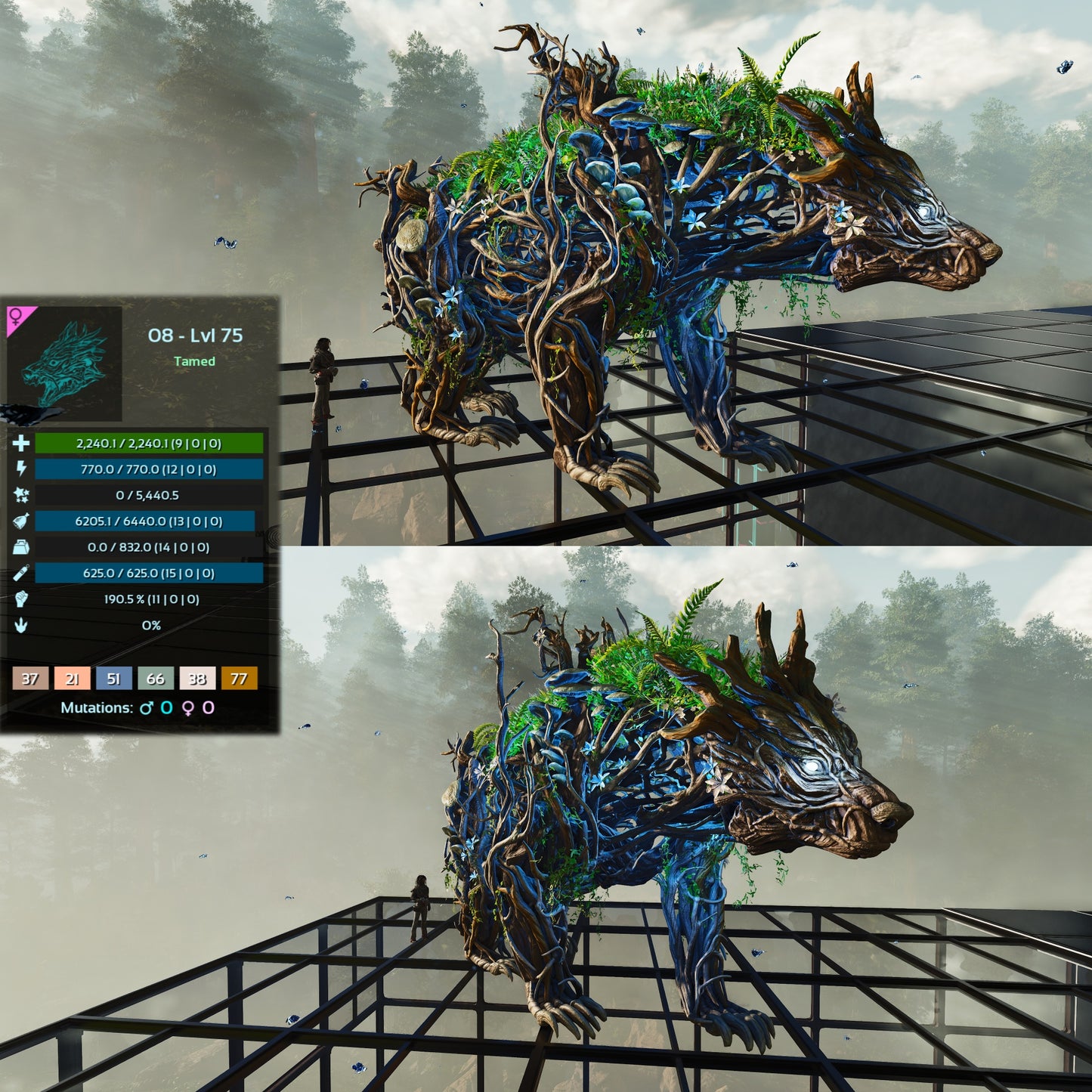 Elderclaw High & Low Lvls