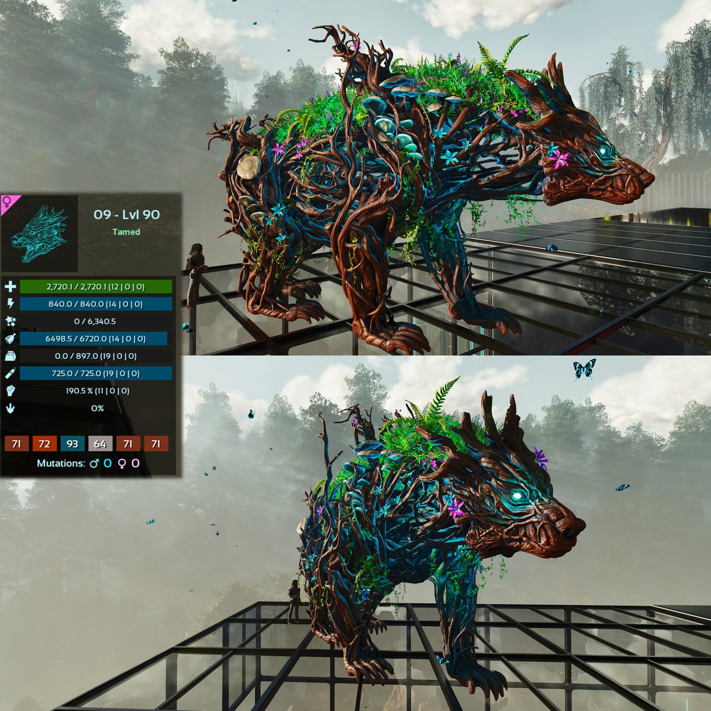 Elderclaw High & Low Lvls