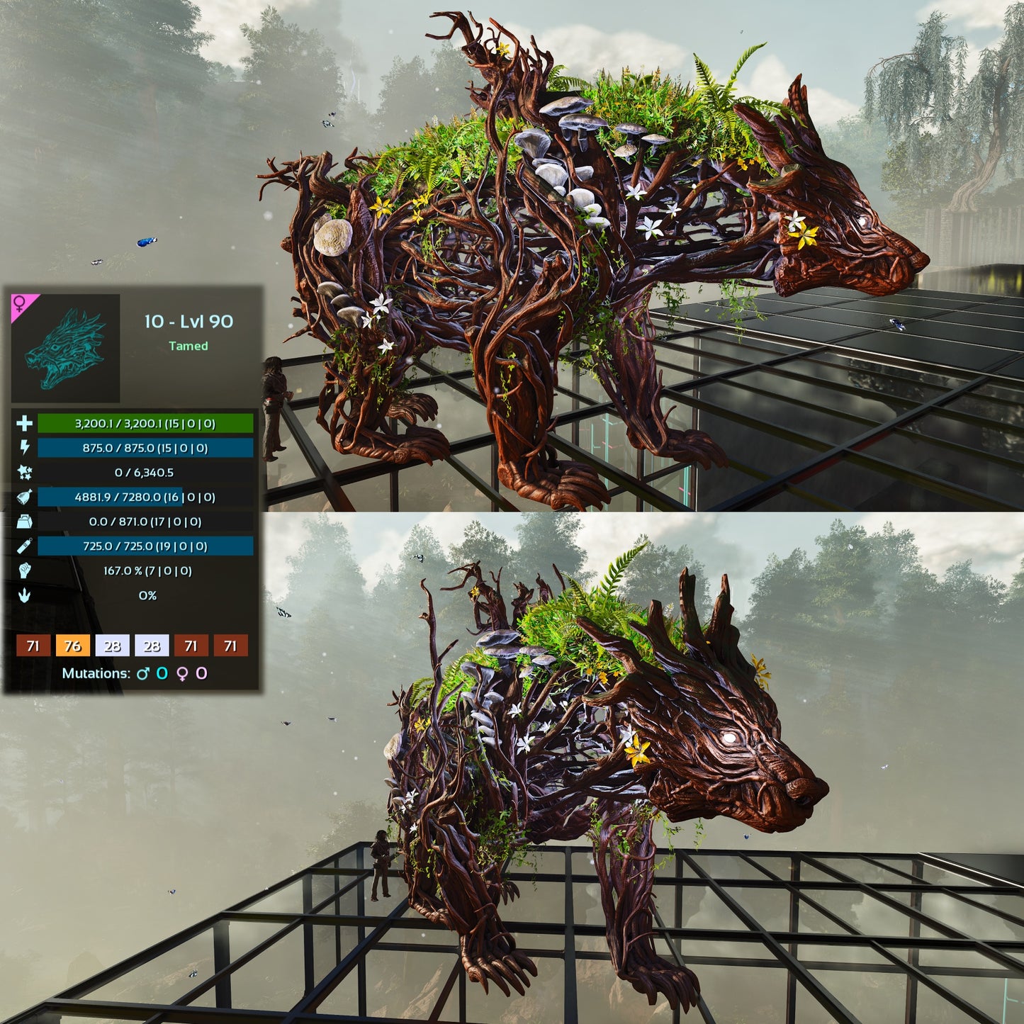 Elderclaw High & Low Lvls