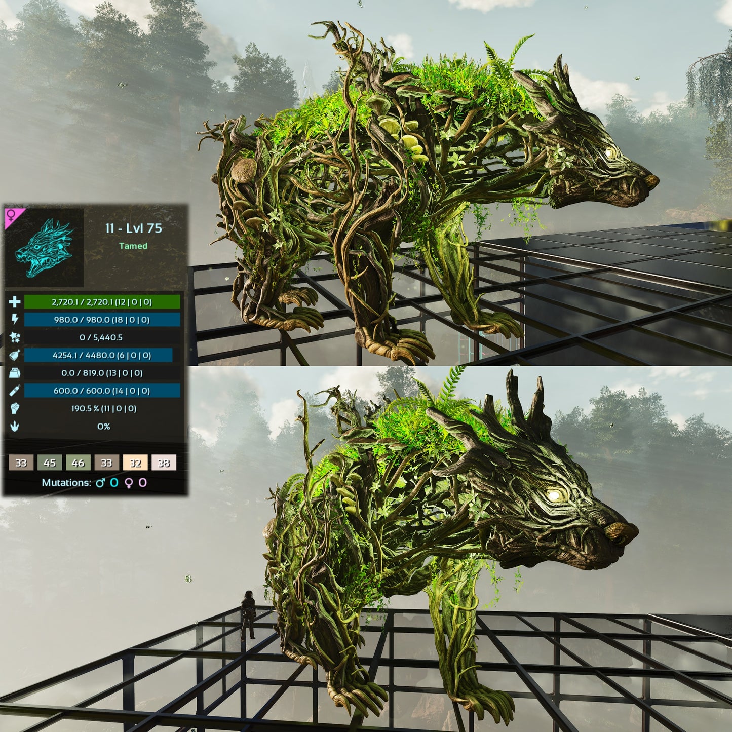 Elderclaw High & Low Lvls