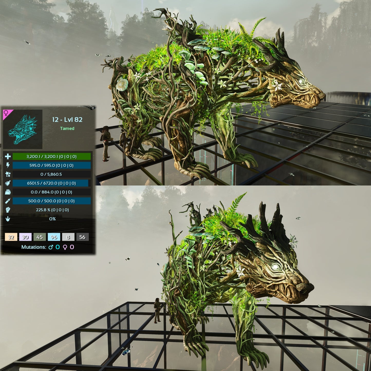 Elderclaw High & Low Lvls