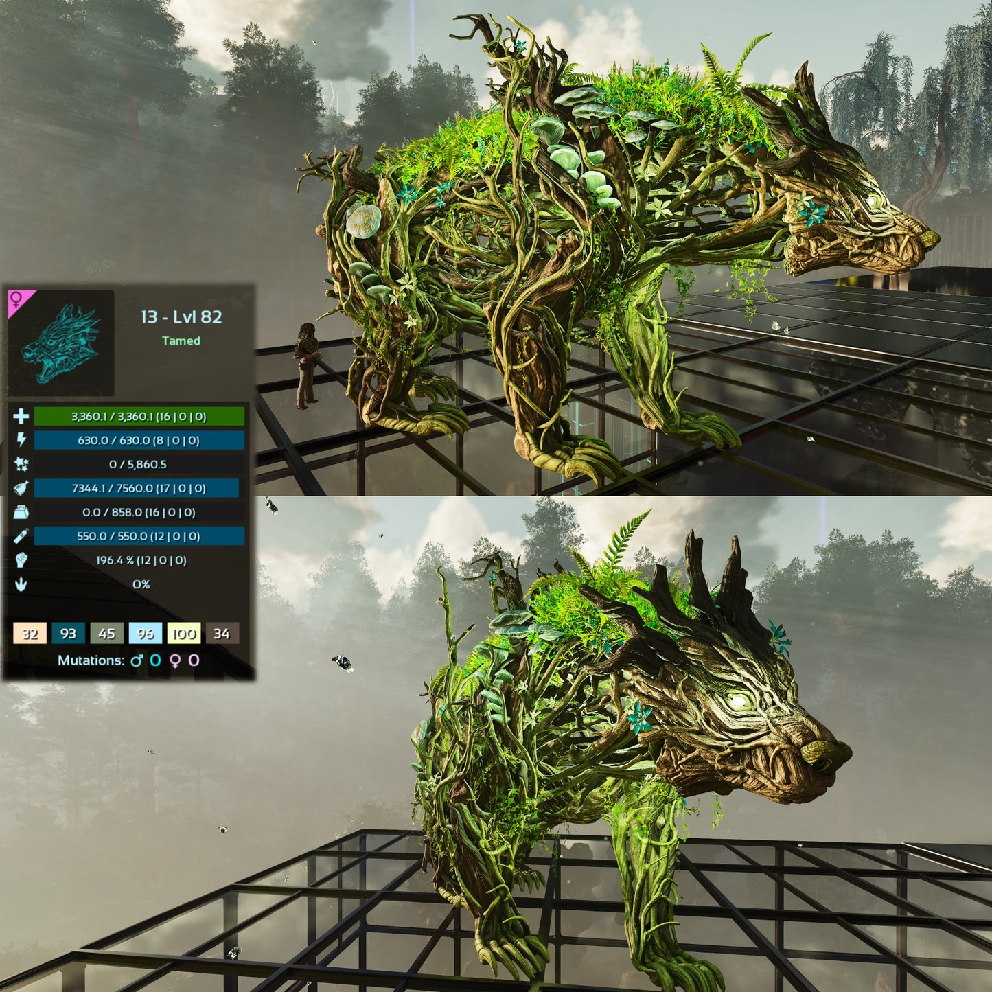 Elderclaw High & Low Lvls