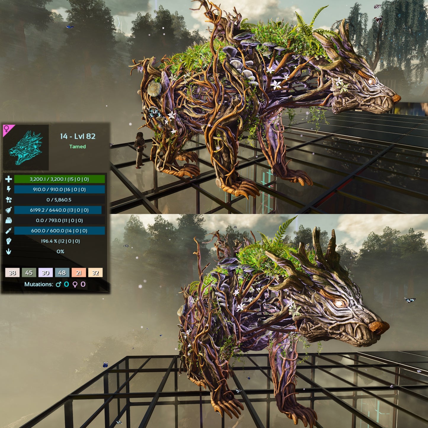 Elderclaw High & Low Lvls