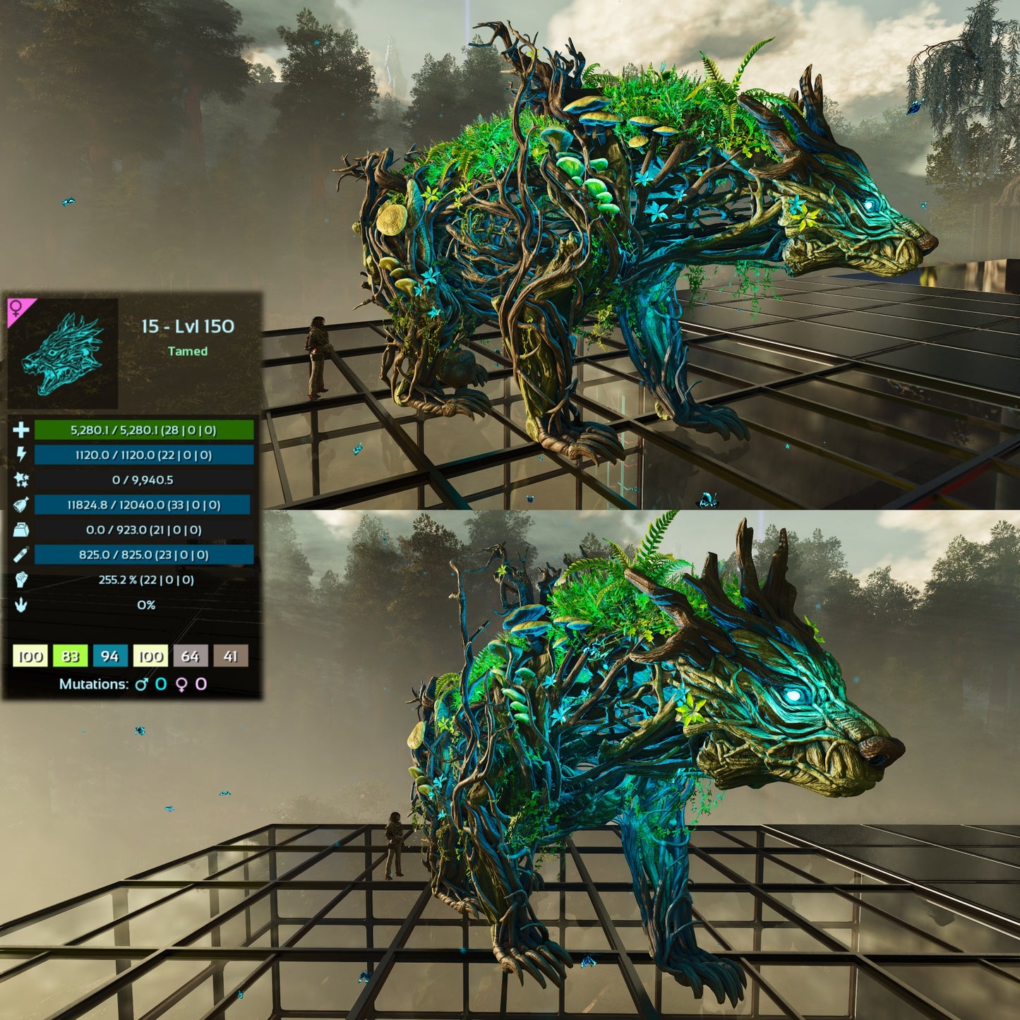 Elderclaw High & Low Lvls
