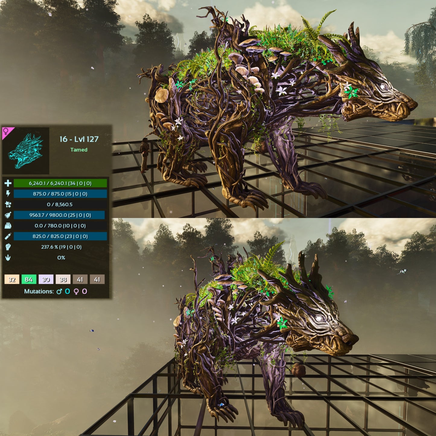 Elderclaw High & Low Lvls
