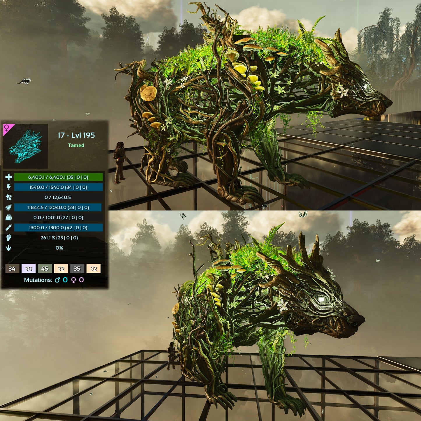 Elderclaw High & Low Lvls