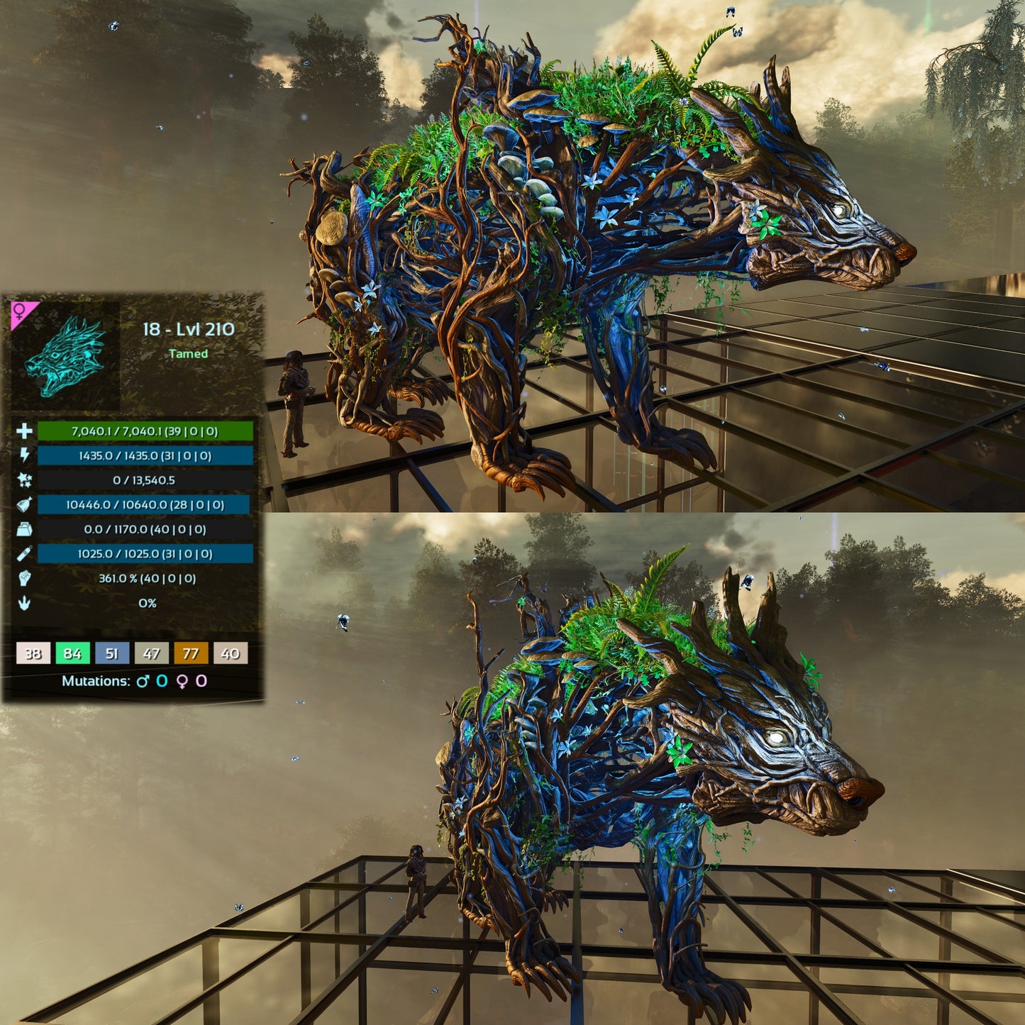Elderclaw High & Low Lvls