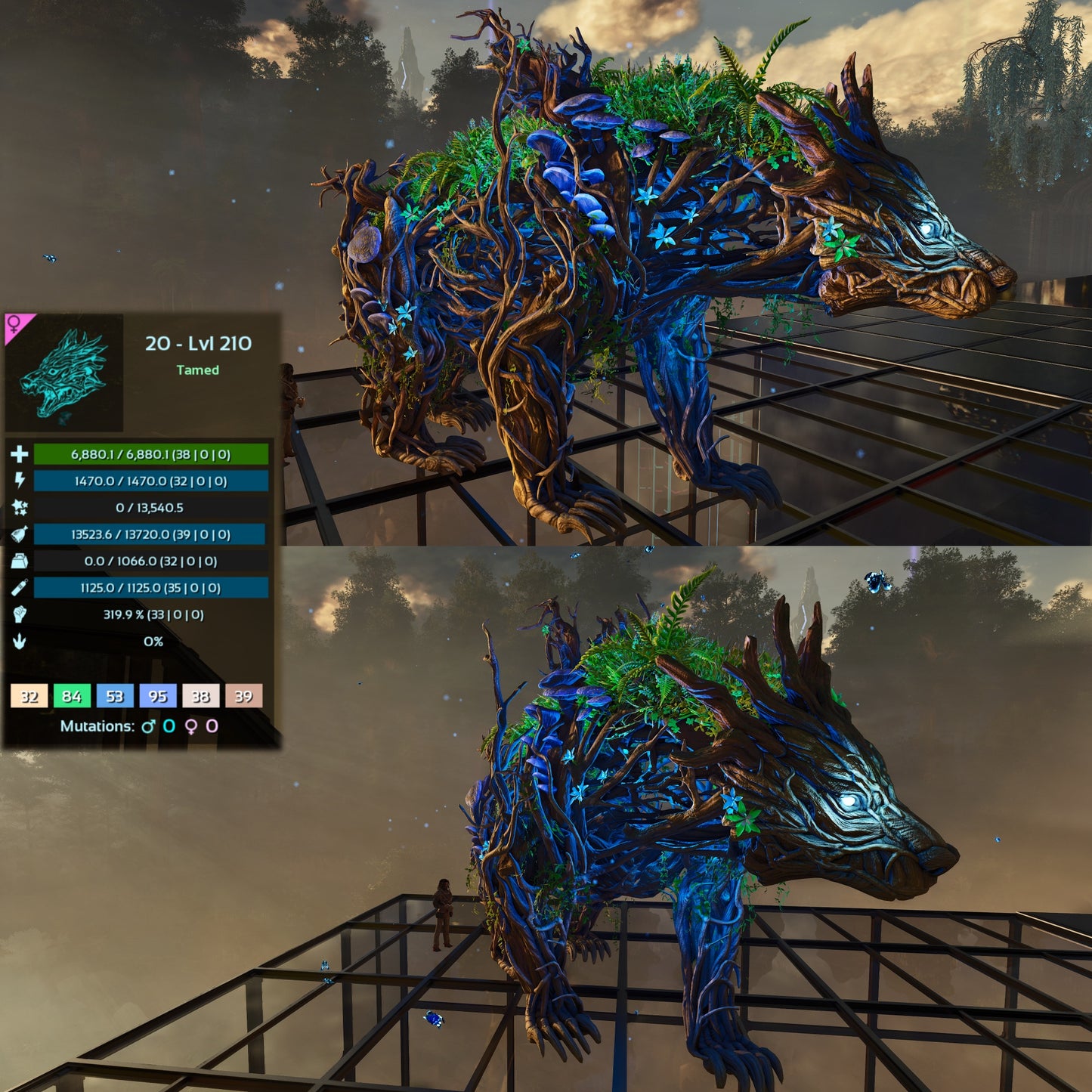 Elderclaw High & Low Lvls