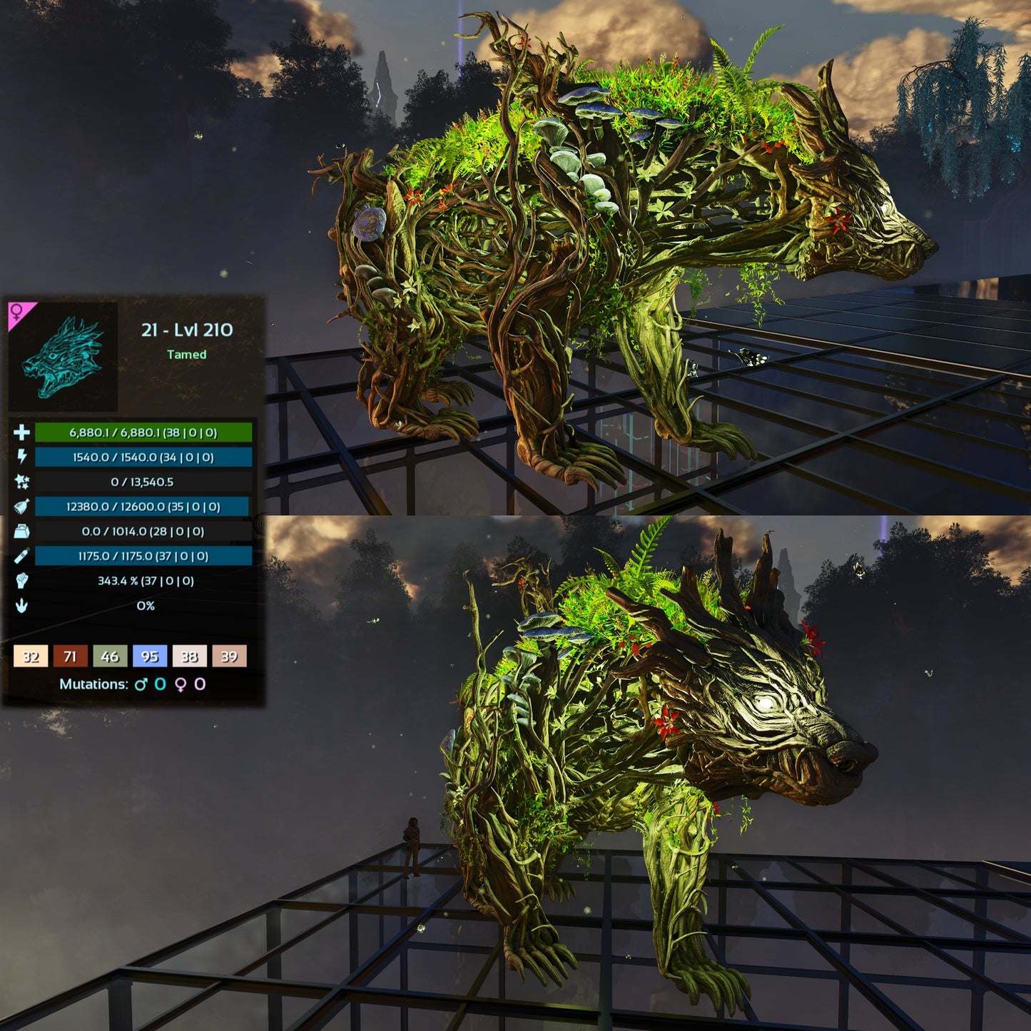 Elderclaw High & Low Lvls
