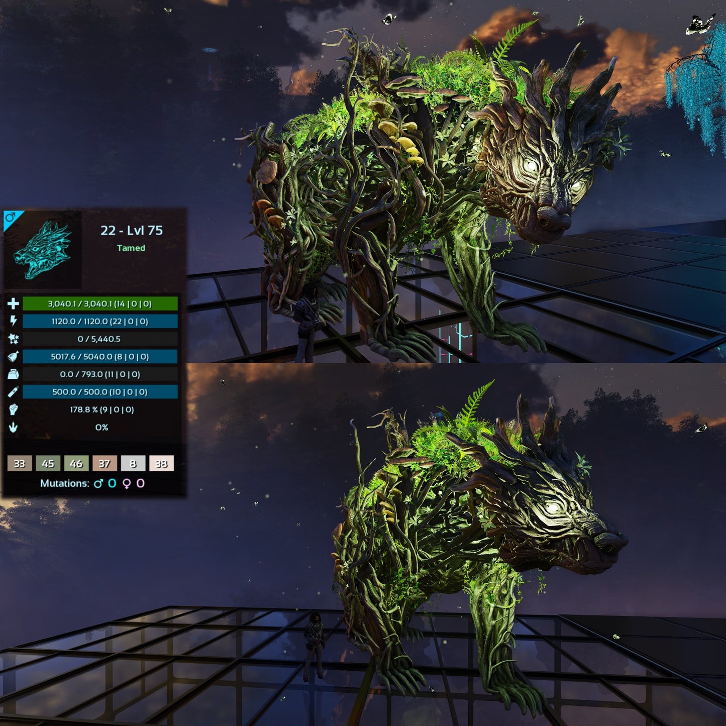 Elderclaw High & Low Lvls