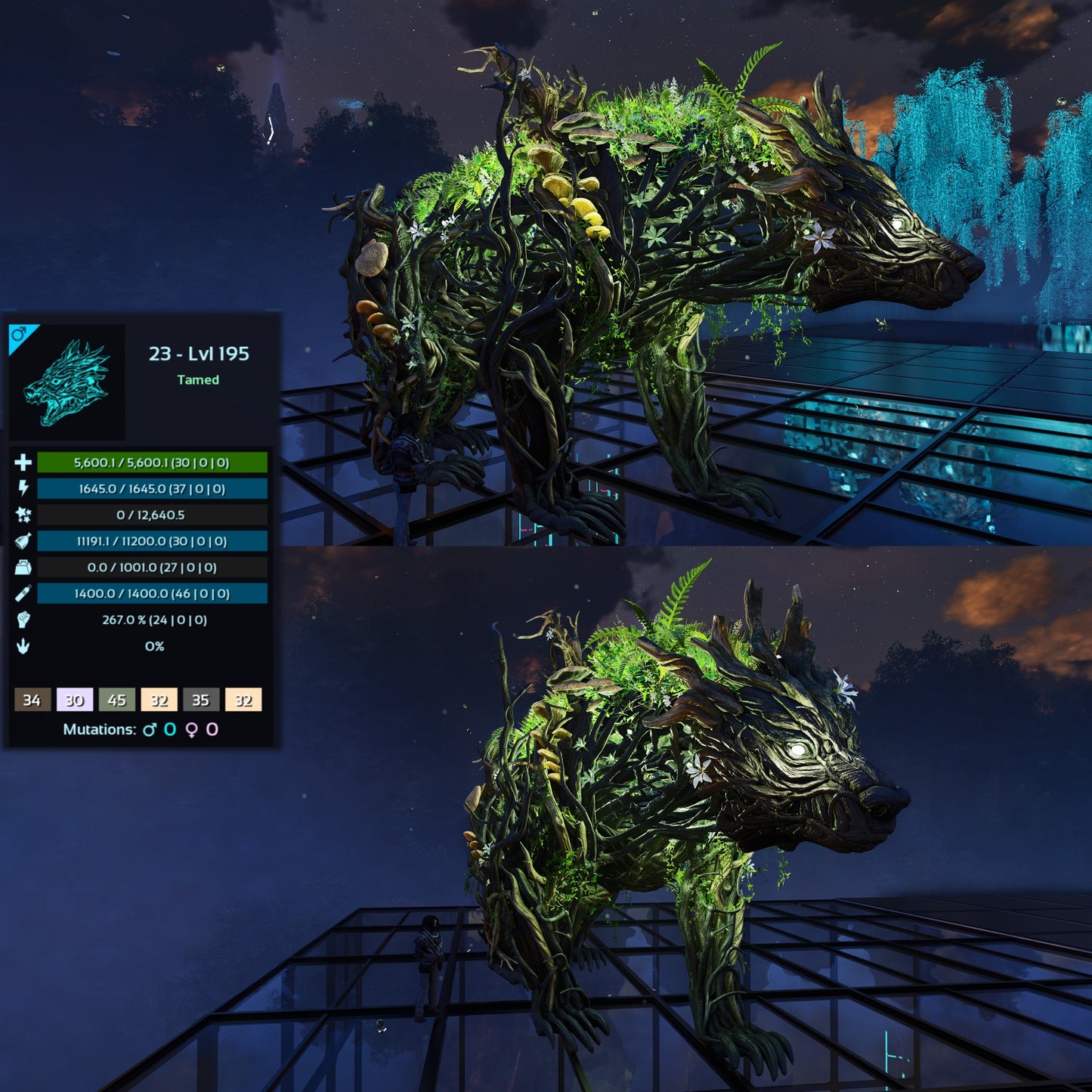 Elderclaw High & Low Lvls