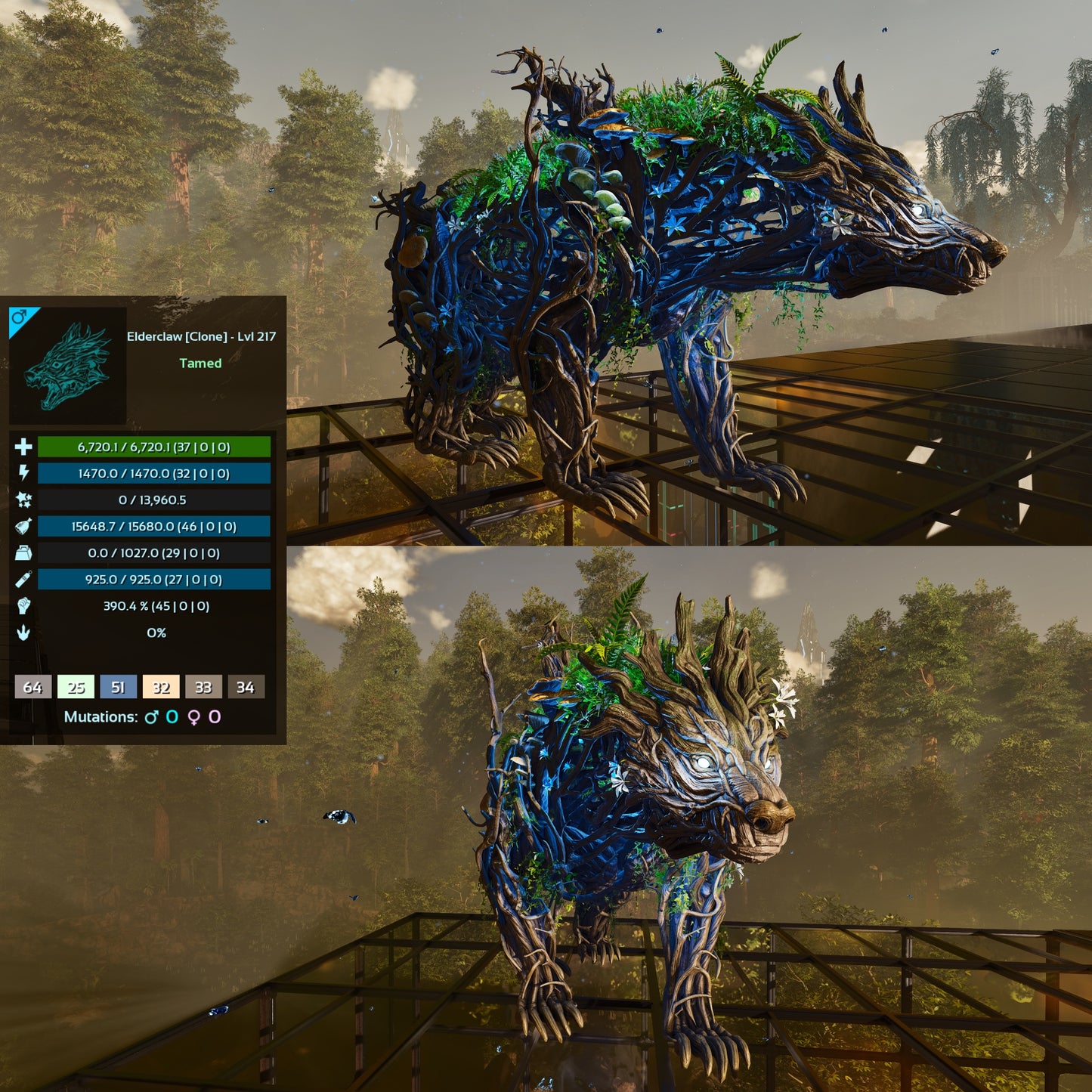 Elderclaw High & Low Lvls