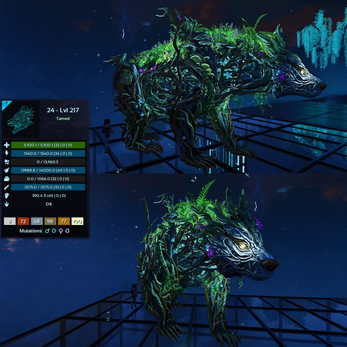 Elderclaw High & Low Lvls