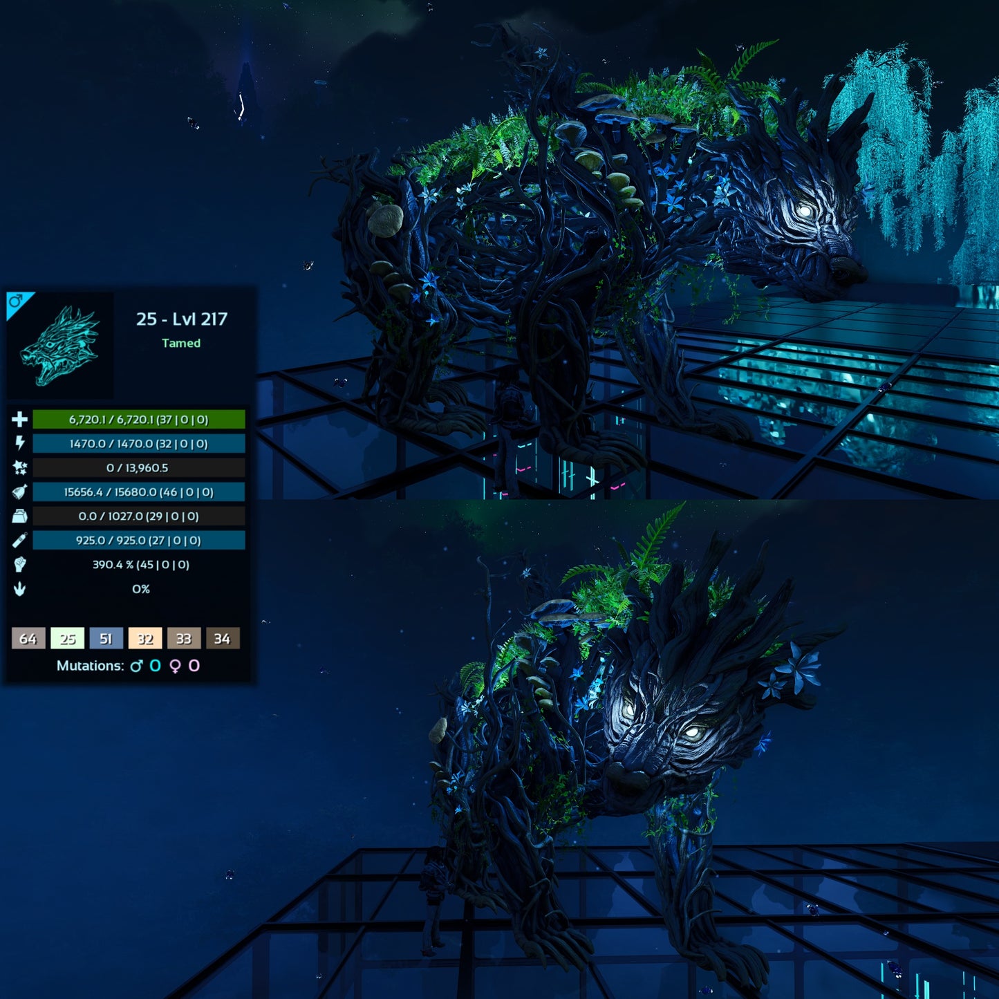 Elderclaw High & Low Lvls