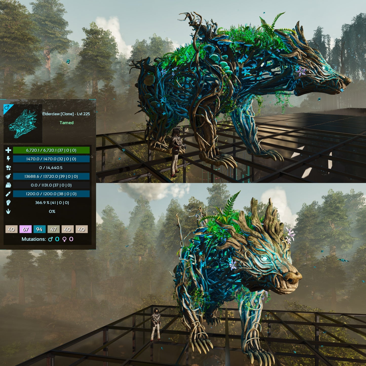 Elderclaw High & Low Lvls