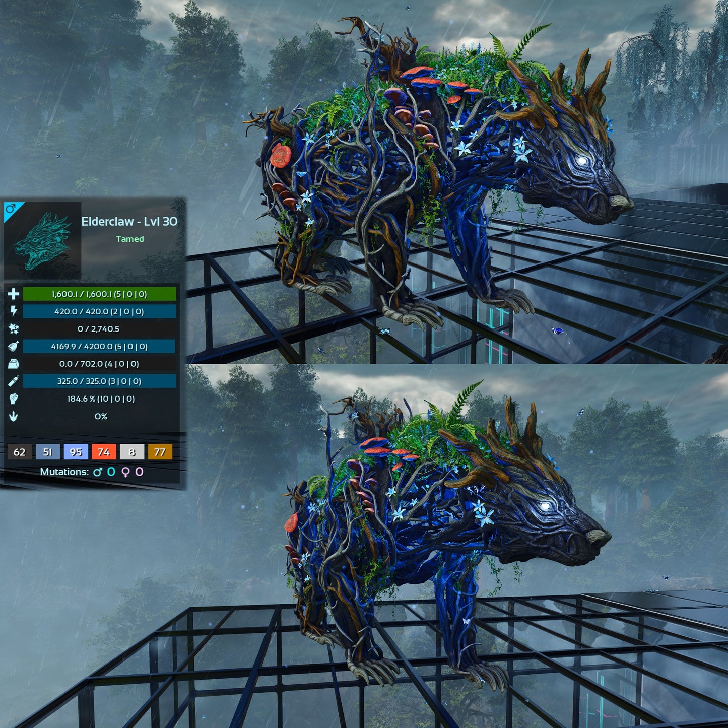 Elderclaw High & Low Lvls