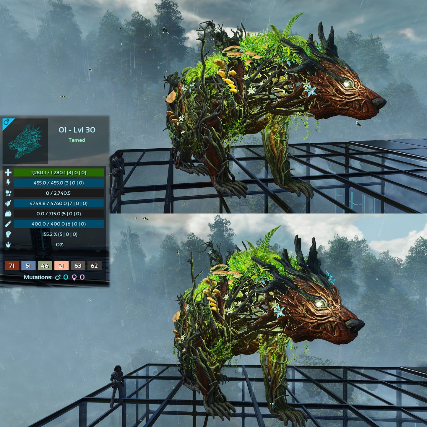 Elderclaw High & Low Lvls