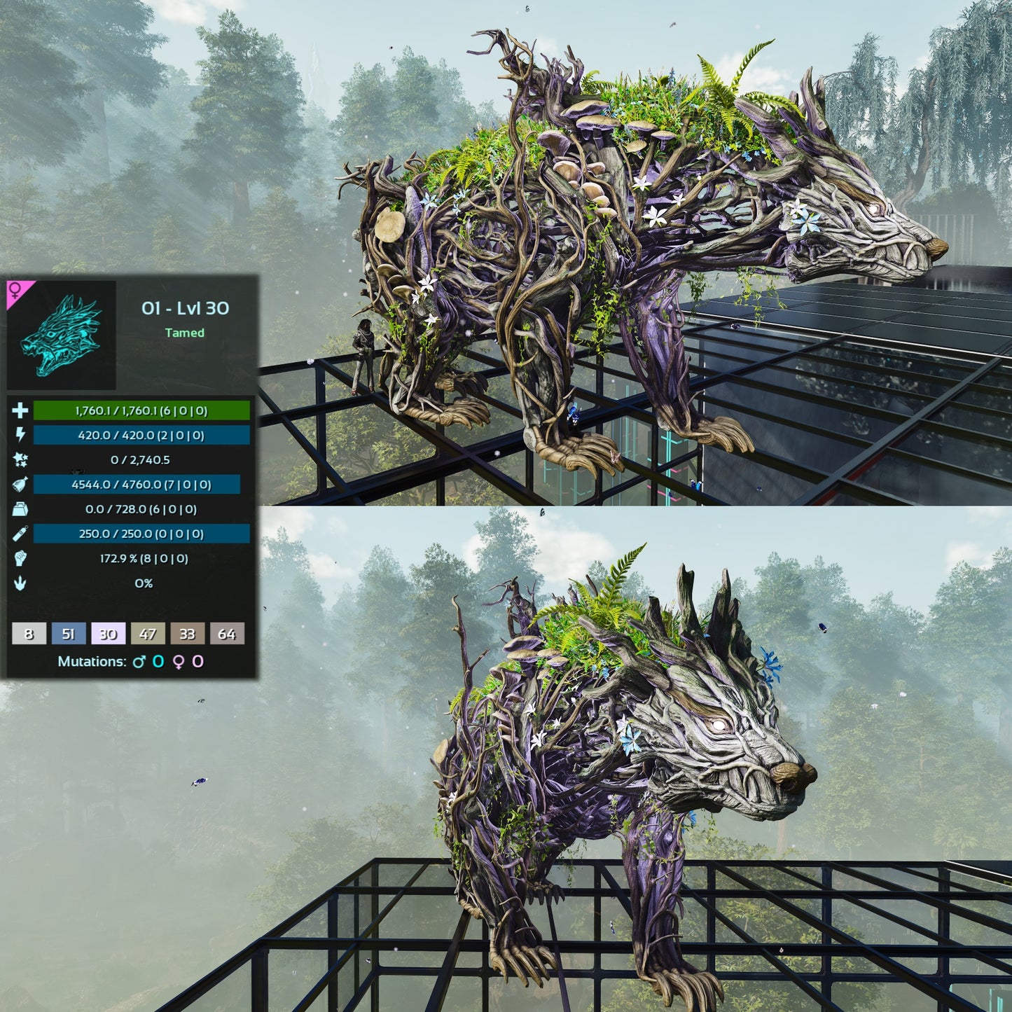 Elderclaw High & Low Lvls