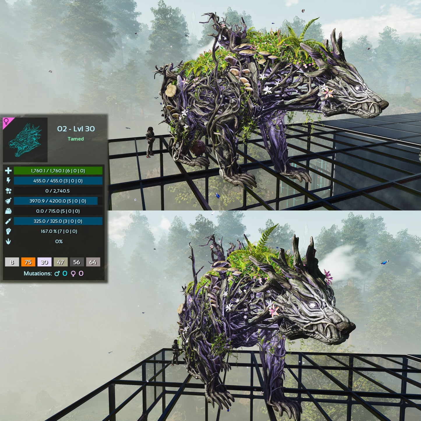 Elderclaw High & Low Lvls