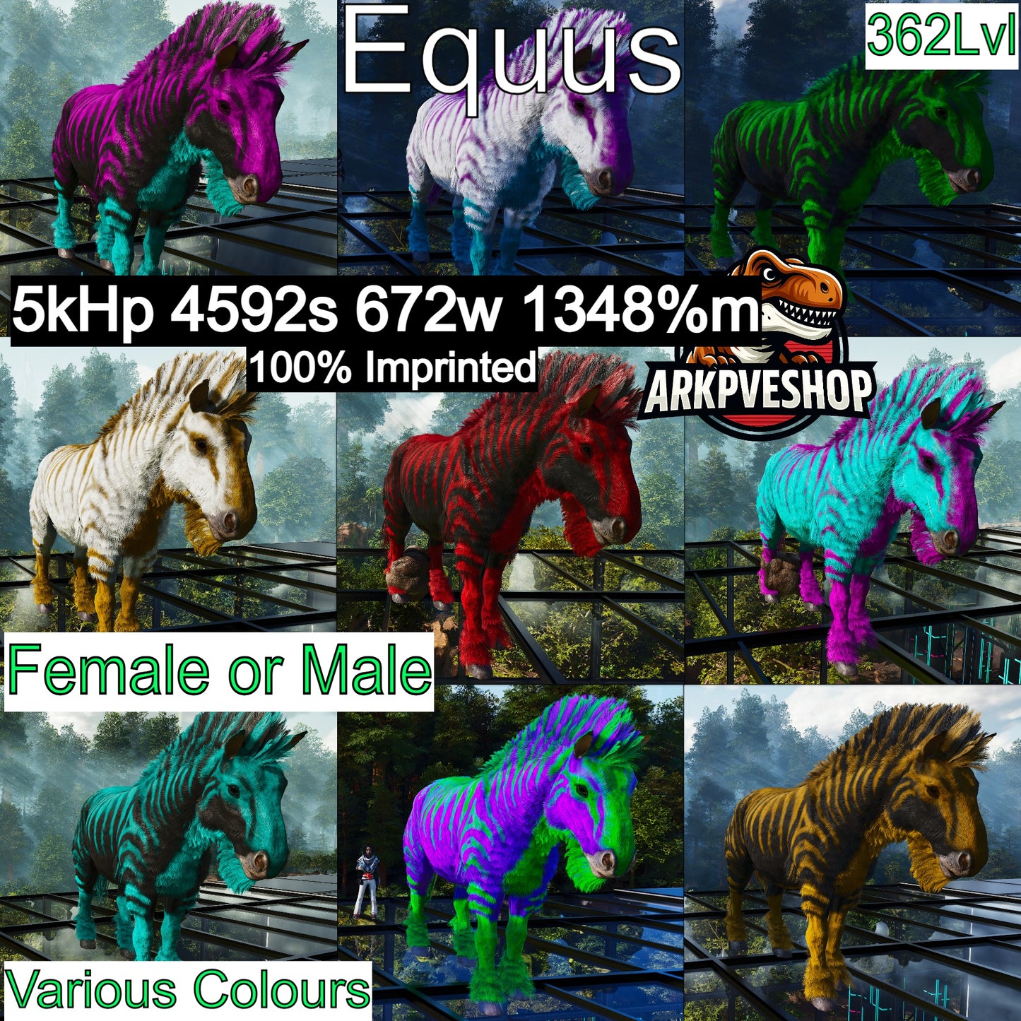 Equus Horses 1348%melee
