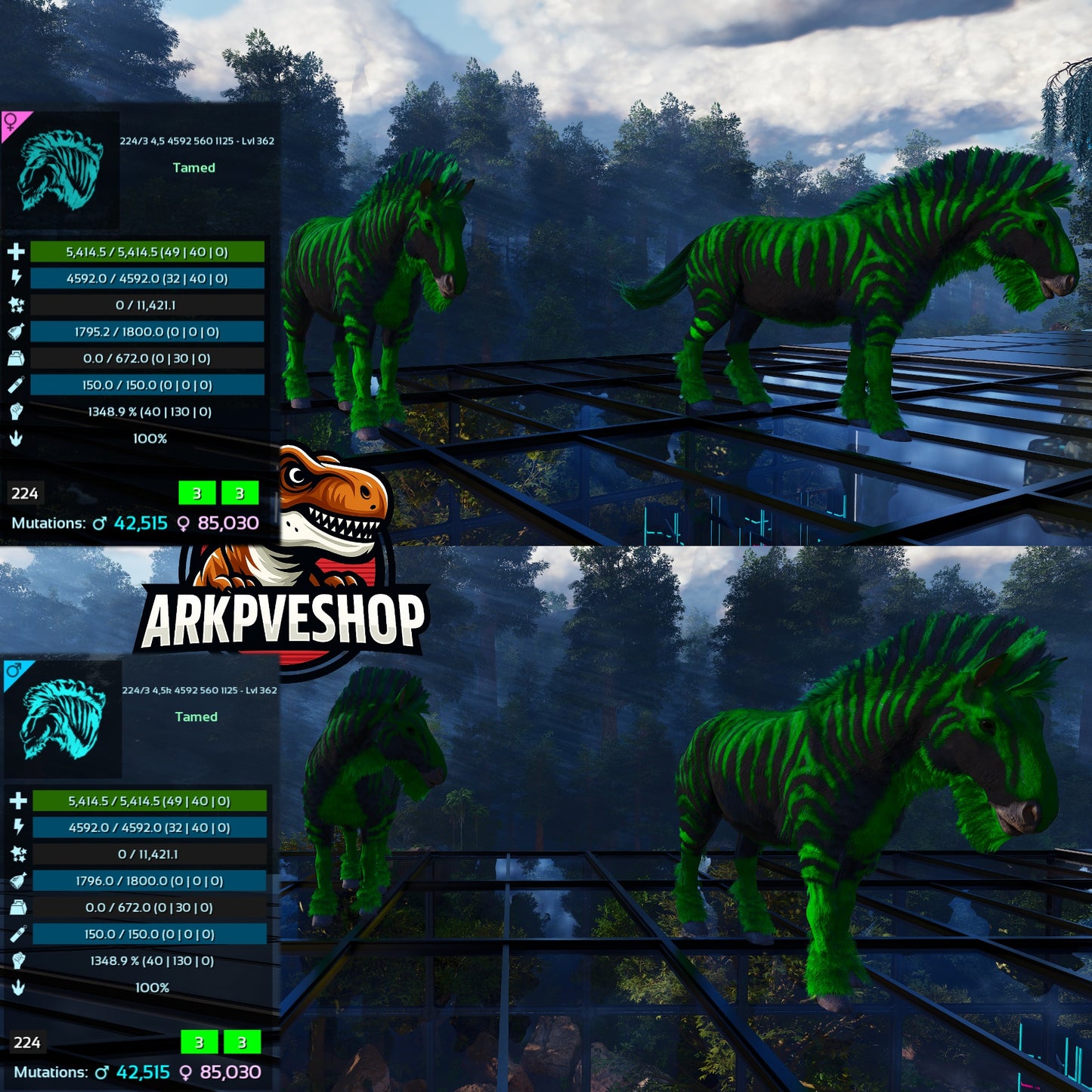 Equus Horses 1348%melee