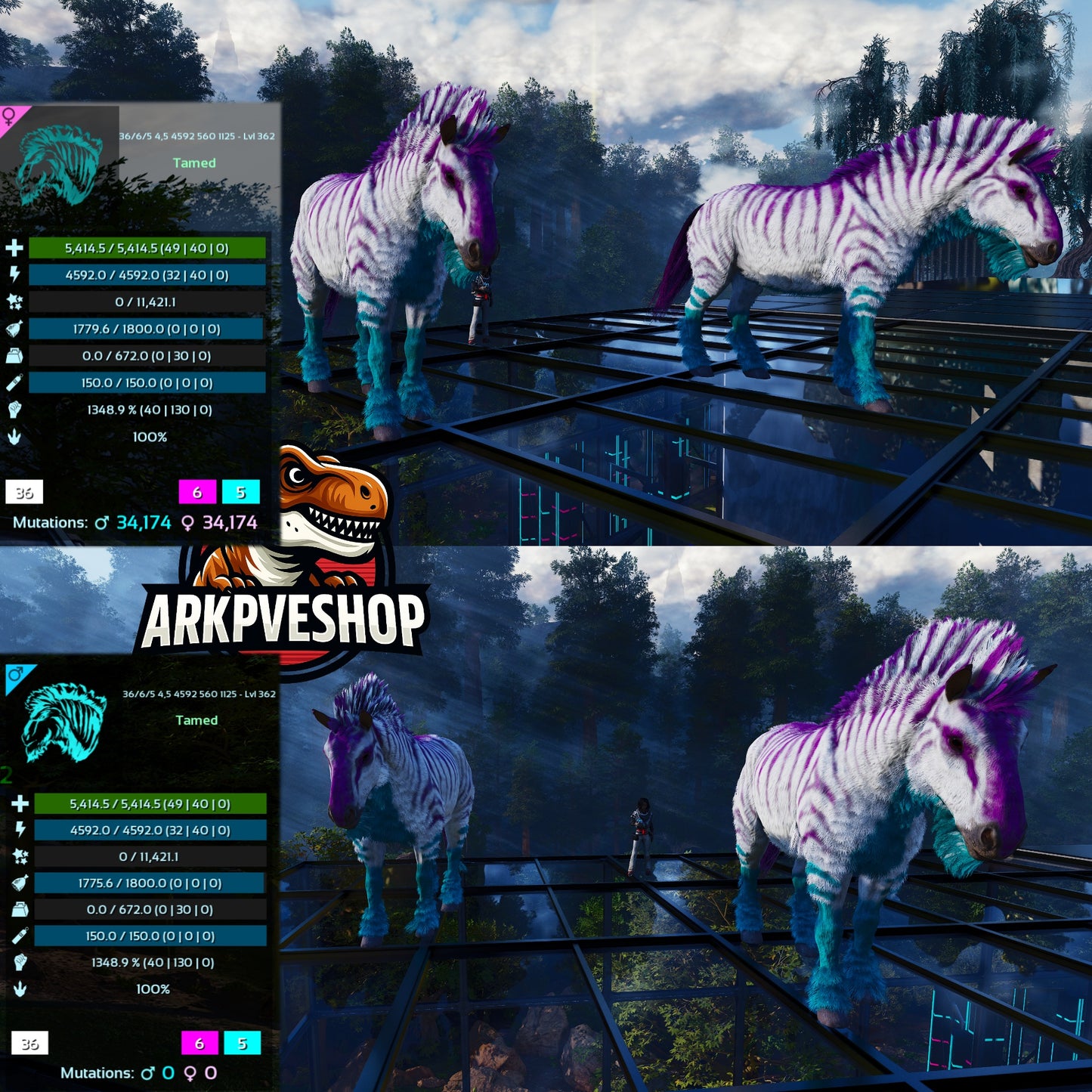 Equus Horses 1348%melee
