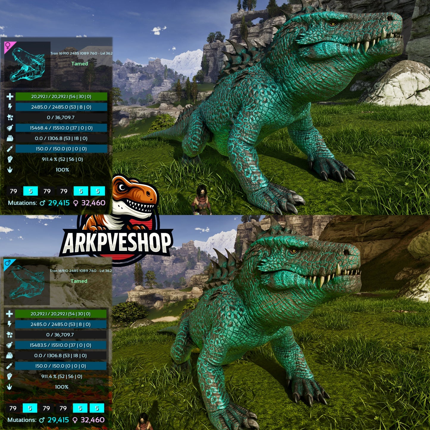 Fasolasuchus Flint Farmer 1306Weight