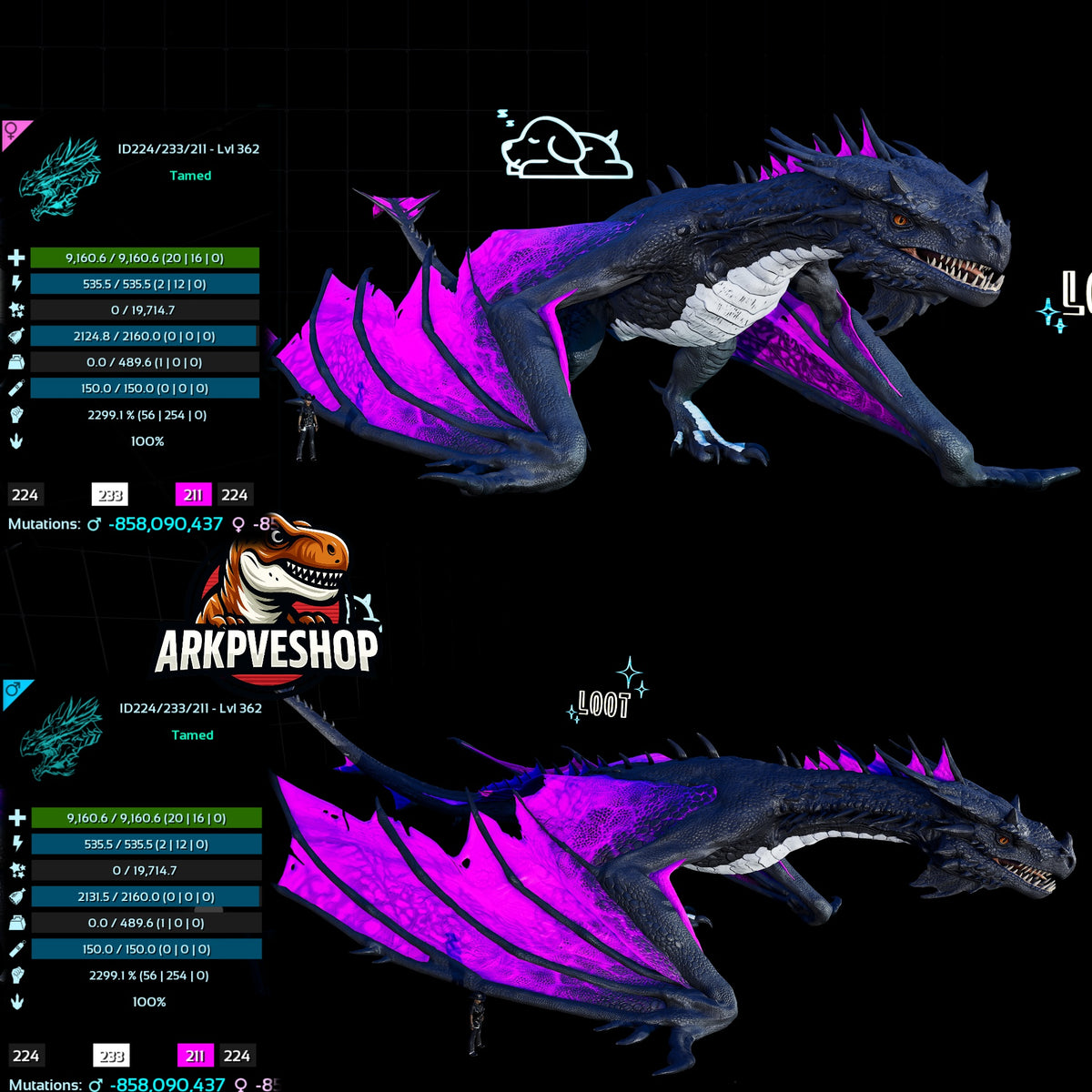 Fire Wyvern Mix Colour 2299.1% Melee