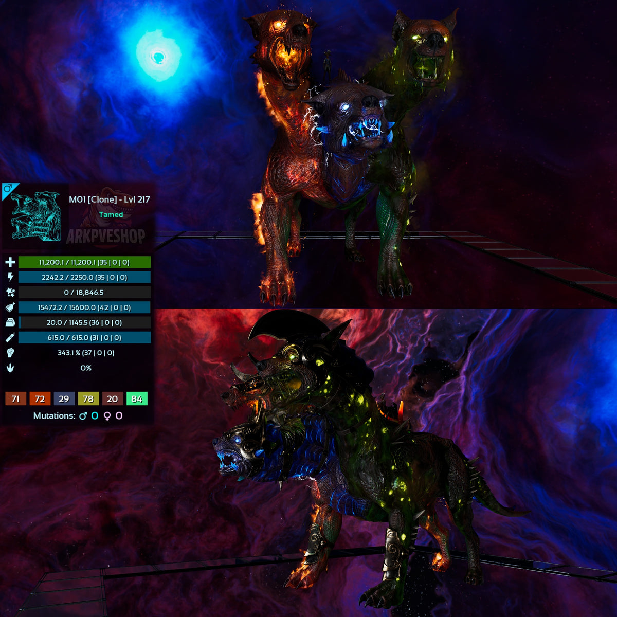 Cerberax High&Low Lvl Clone