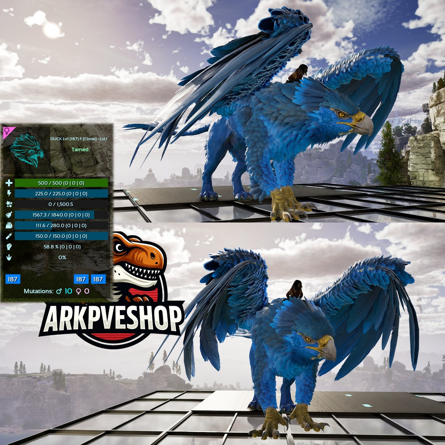 Griffin Level 1 Clone Lvl 1