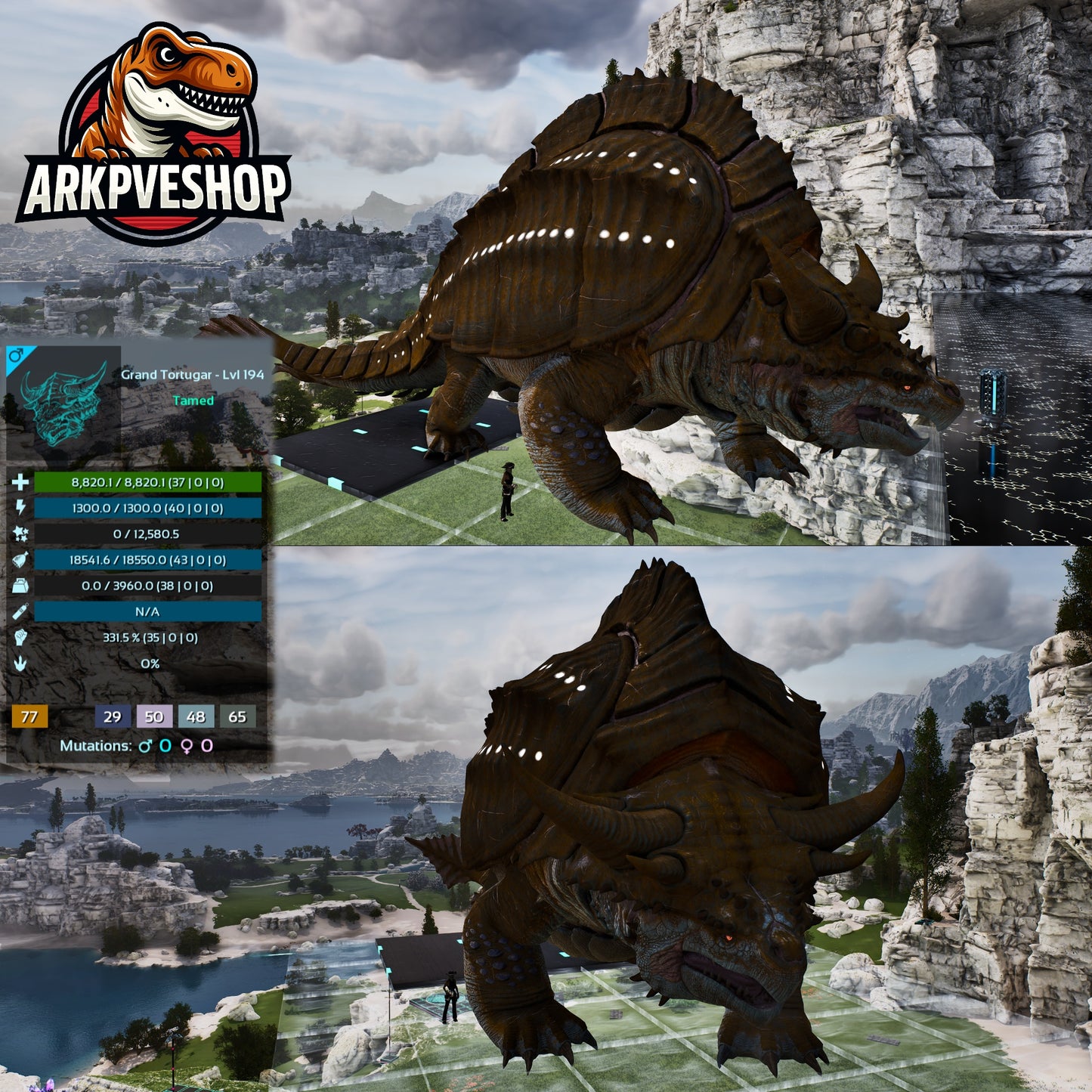 Grand Tortugar New Dino High Lvl