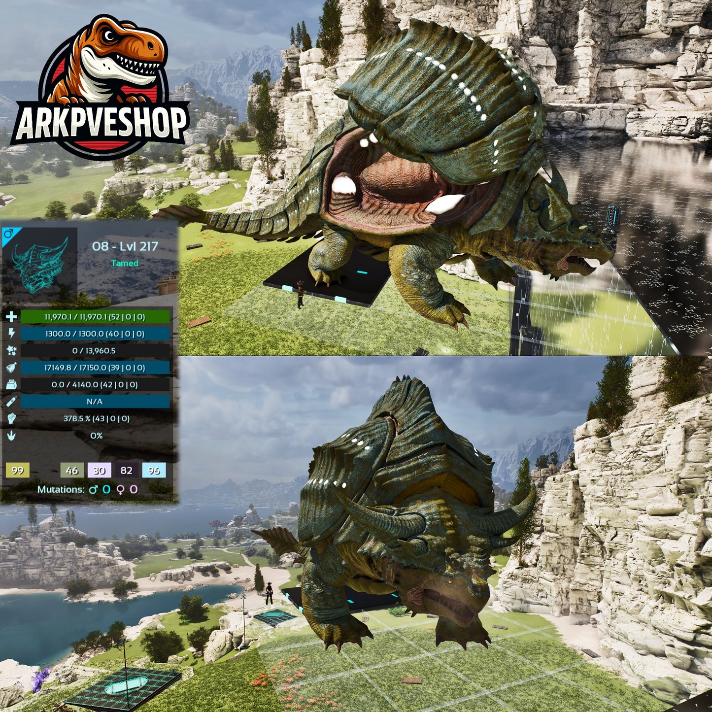 Grand Tortugar New Dino High Lvl