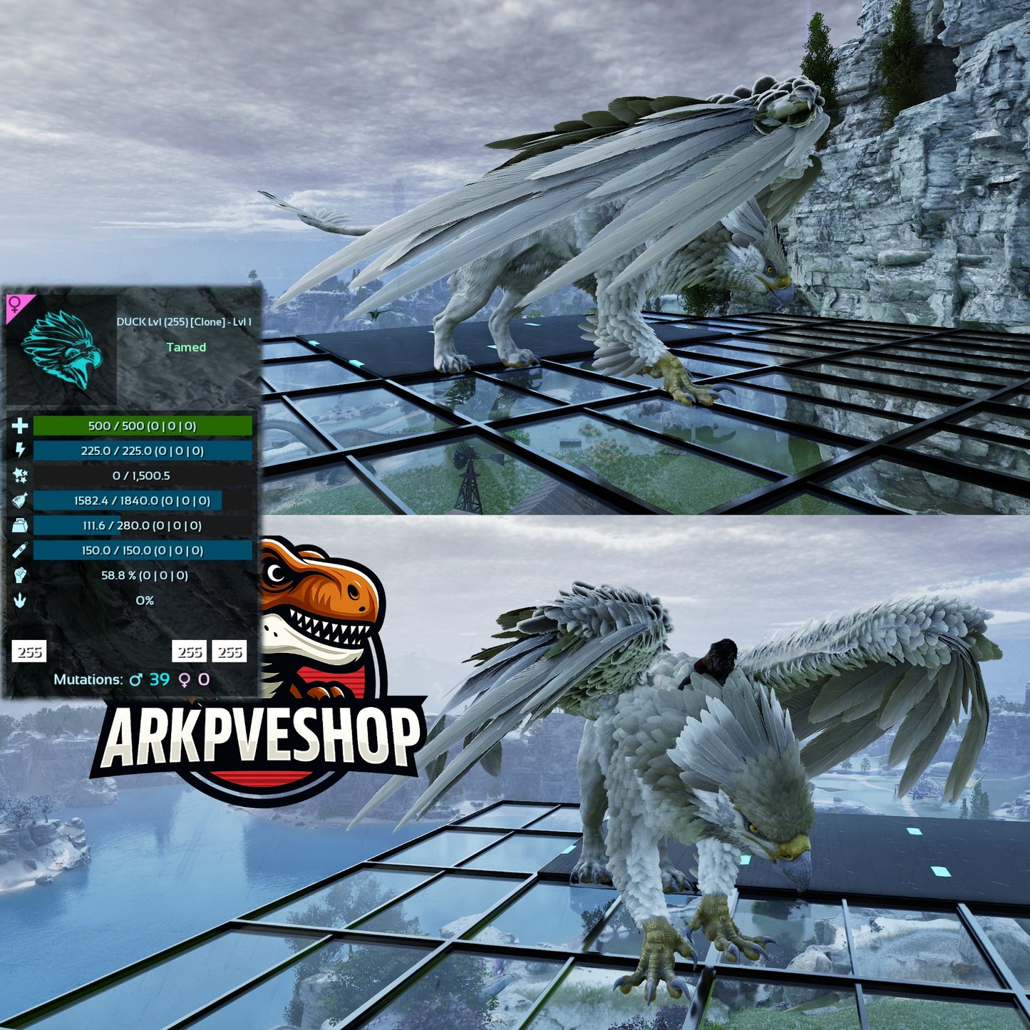 Griffin Level 1 Clone Lvl 1
