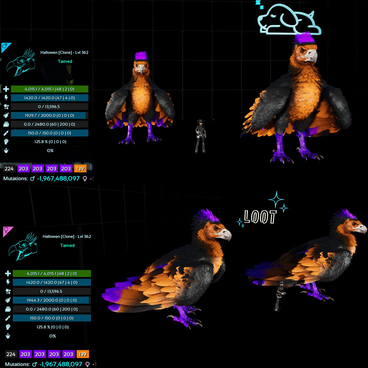 Halloween Dino Pairs Clone