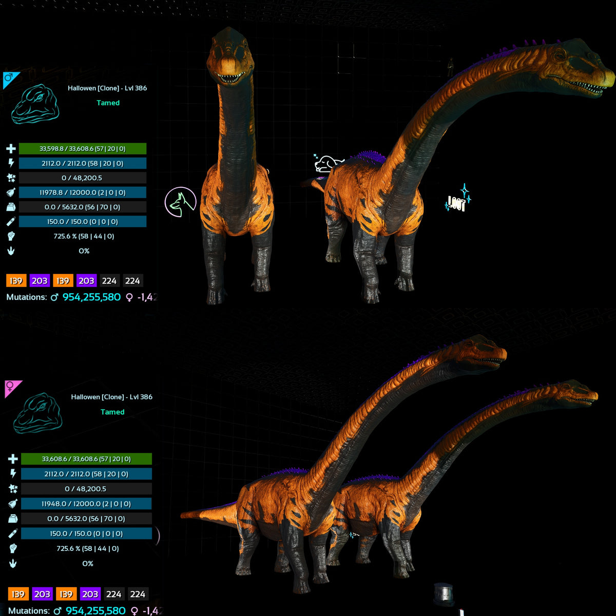 Halloween Dino Pairs Clone
