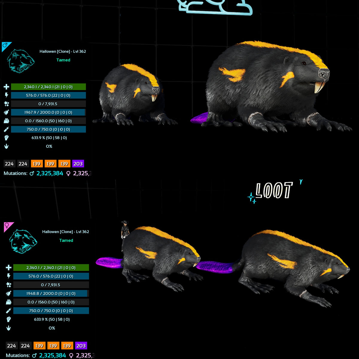 Halloween Dino Pairs Clone