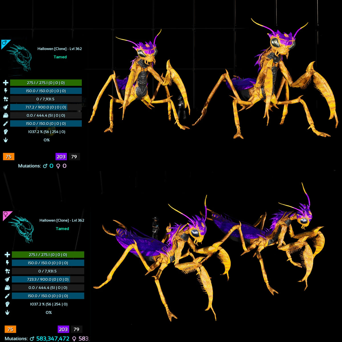 Halloween Dino Pairs Clone