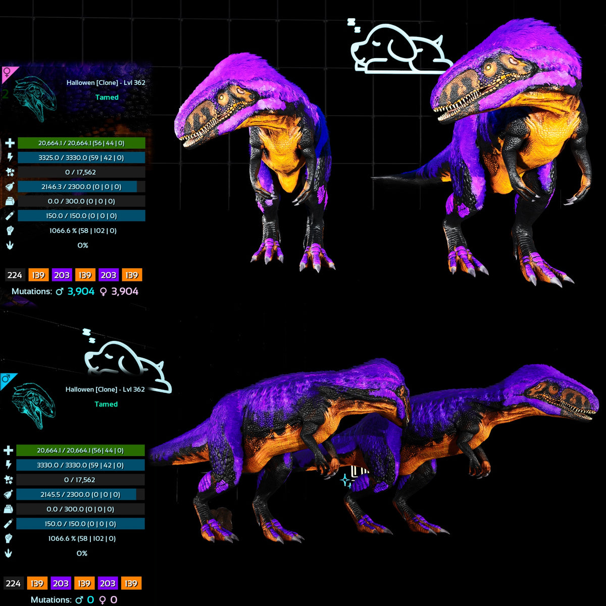 Halloween Dino Pairs Clone